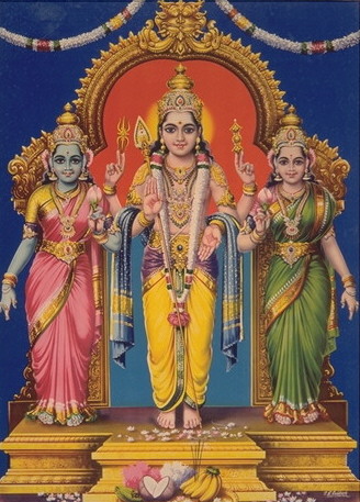 Deities - Lord Subrahmanya - Sri Venkateswara Temple(svt)